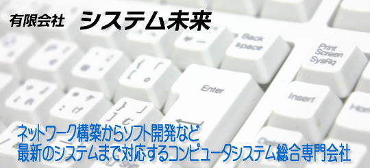 有限会社　システム未来　ネットワーク構築からソフト開発など何でもお問い合わせください。